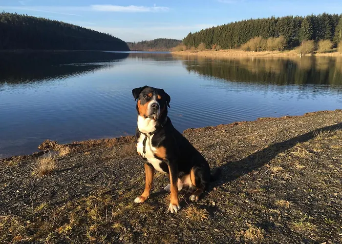 Διαμέρισμα 